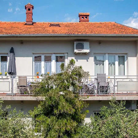 Oliva Pula